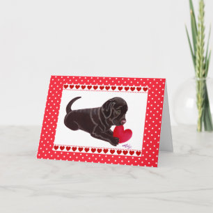 Chocolat Labrador Chiot Valentine's Day carte