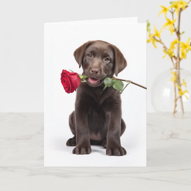 Chocolate-Lab-Valentinstag Karte (Gelbe Blume)