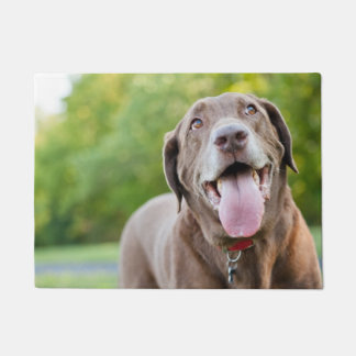 Chocolate Labrador Dog Fußmatte