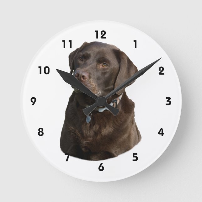Chocolate Labrador dog photo portrait Runde Wanduhr (Vorderseite)