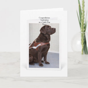 Chocolate-Labrador-Führhund-Abschluss Karte