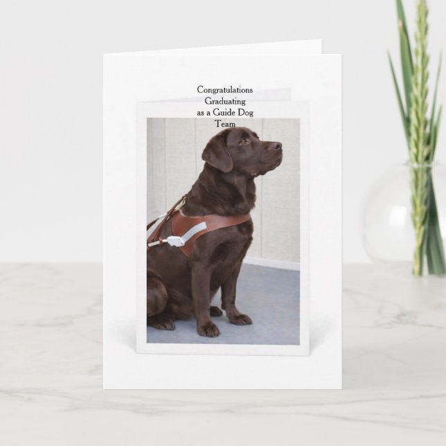 Chocolate Labrador Guide Dog Graduation Karte (Vorderseite)