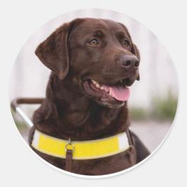 Chocolate-Labrador-Hundeführerhund-Abschluss  Runder Aufkleber
