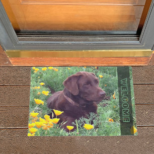 Chocolate Labrador Retriever Dog in Orange Poppies Fußmatte