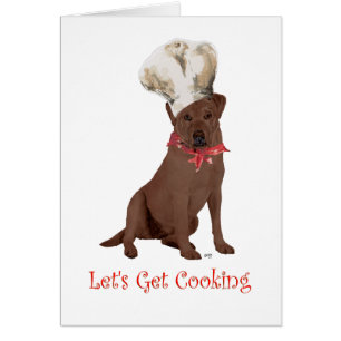 Chocolate Labrador Retriever Koch