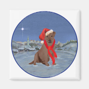 Chocolate Labrador Retriever Weihnachten Magnet