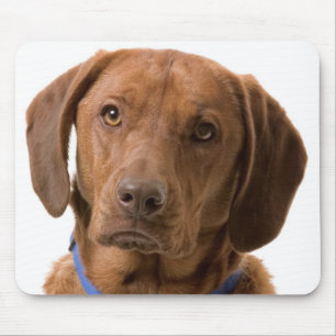 Chocolate-Labrador-Retriever-Welpen-Mauspad Mousepad