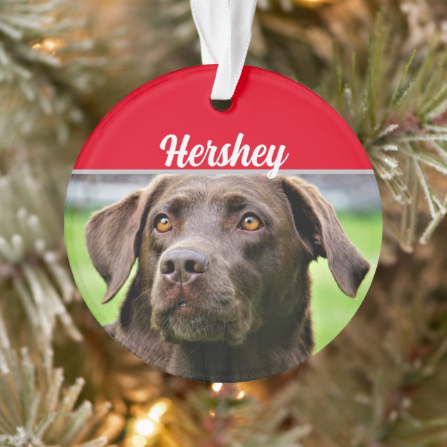 Chocolate Labrador with Name and Photo Christmas Ornament (Baum)