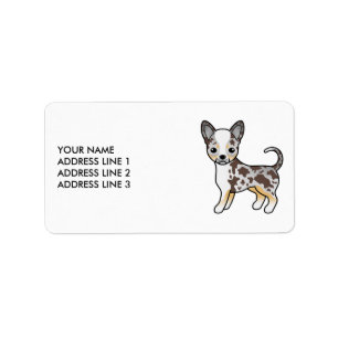 Chocolate Merle Glatthaar Chihuahua Süßer Hund Adressaufkleber