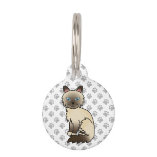 Chocolate Point Birman / Ragdoll Cat & Pet's Info Haustiermarke