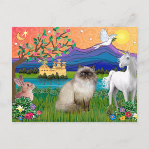 Chocolate Point Himalayan Cat - Fantasy Land Postkarte