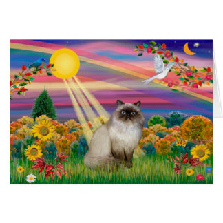 Chocolate Point Himalayan - Sonne im Herbst