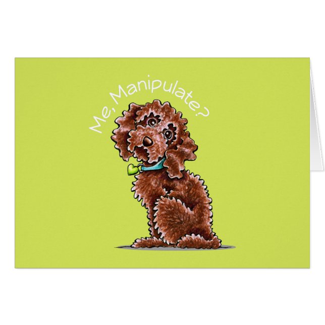 Chocolate Poodle Mix Me Manipulation (Vorderseite (Horizontal))