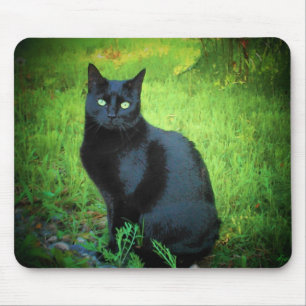 Chocolate Says Come Play Mousepad