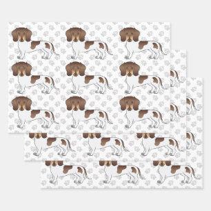 Chocolate & Tan Pied Kurzhaar Dachshund & Pfoten Geschenkpapier Set