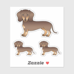 Chocolate- und Tan glatthaariger Dachshund süßer H Aufkleber