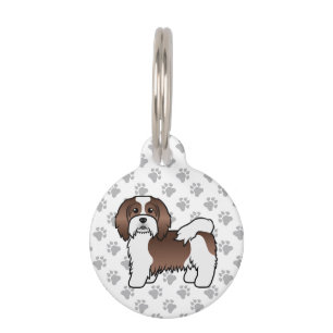 Chocolate und Weiß Havanese Hund & Tier Info Haustiermarke