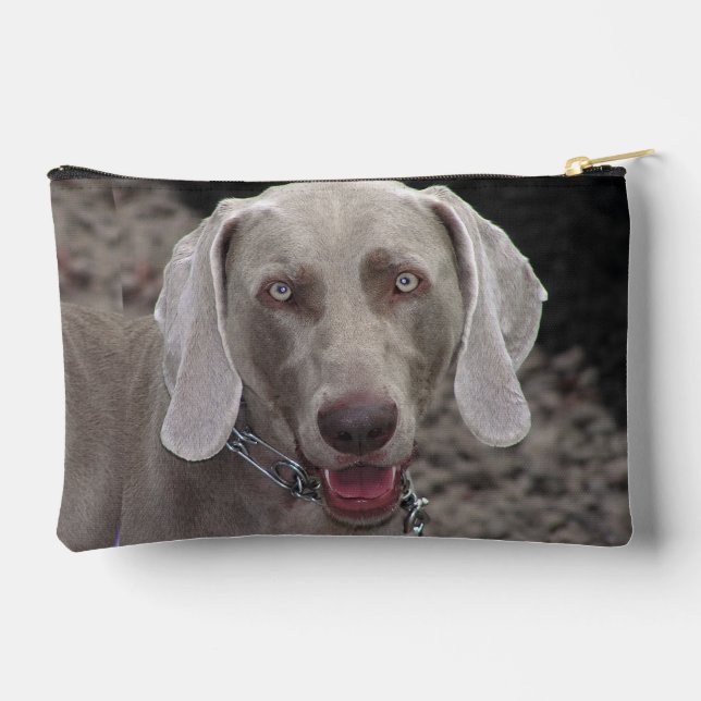 Chocolate-Weimaraner Zubehörtasche (Rückseite)