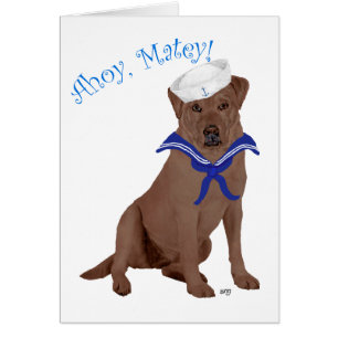 Chocolatebrauner Labrador Retriever