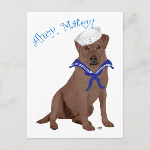 Chocolatebrauner Labrador Retriever Postkarte