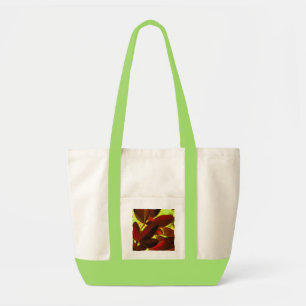 Choisya Herbst 2 Impuls Tasche