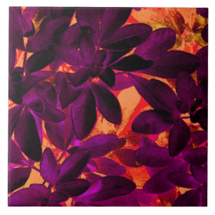 Choisya Herbst 3 Keramik Fliese