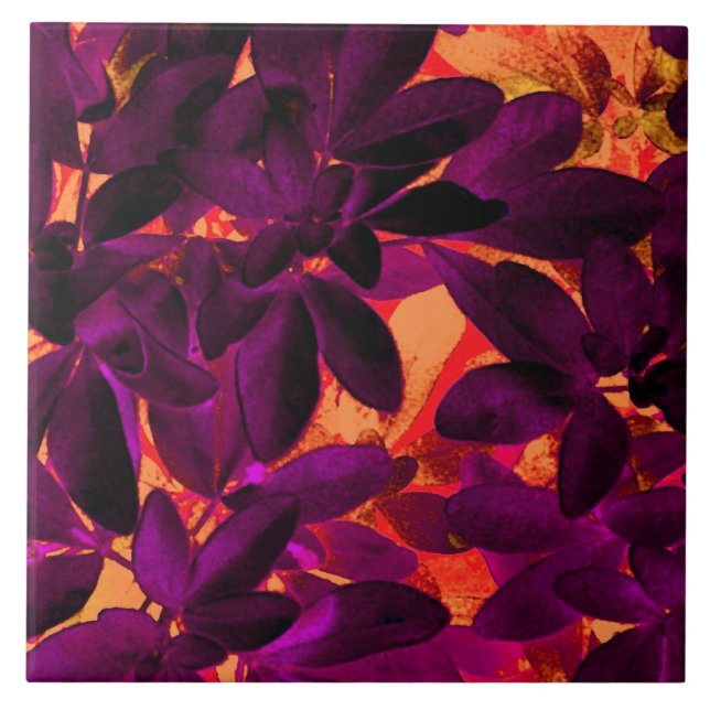 Choisya Herbst 3 Keramik Fliese (Vorderseite)