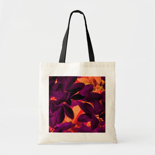 Choisya Herbst 3 Tasche (Vorne)