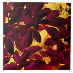 Choisya Herbstplatte Keramik Fliese