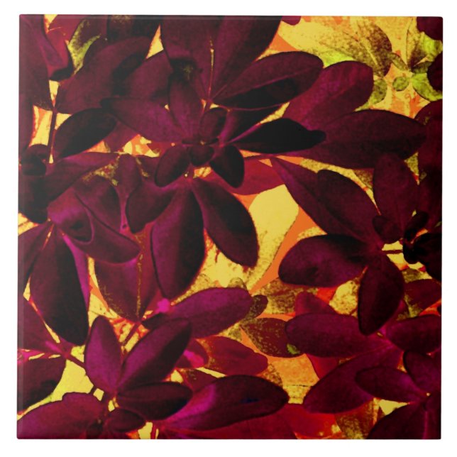 Choisya Herbstplatte Keramik Fliese (Vorderseite)