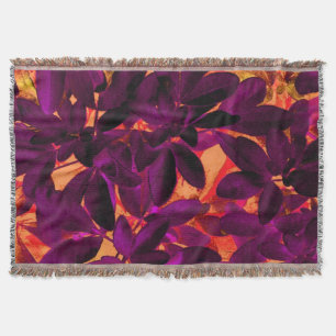 Choisya Herbstwerfen 3 Decke