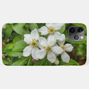 Choisya Ternata Case-Mate iPhone Hülle