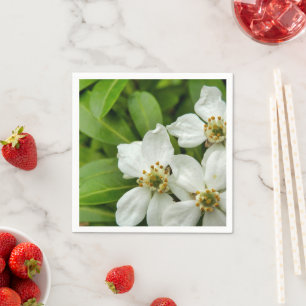 Choisya Ternata Paper Napkins Serviette
