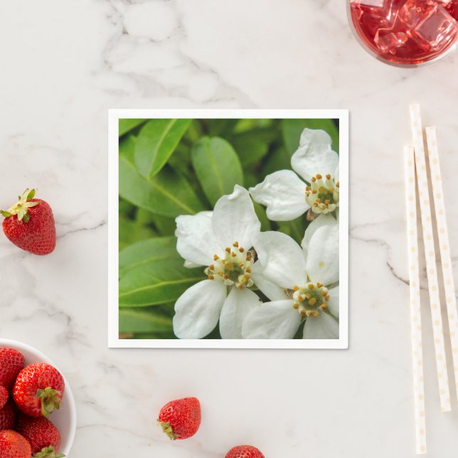 Choisya Ternata Paper Napkins Serviette (Beispiel)