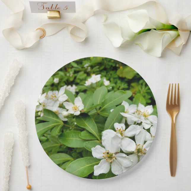 Choisya Ternata Papierplatte Pappteller (Hochzeit)