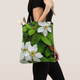 Choisya Ternata Tout sur le sac à imprimer