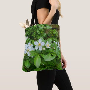 Choisya Ternata Tout sur le sac à imprimer