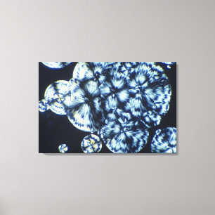 Cholesterinkristalle in Polarisiertem Licht Leinwanddruck