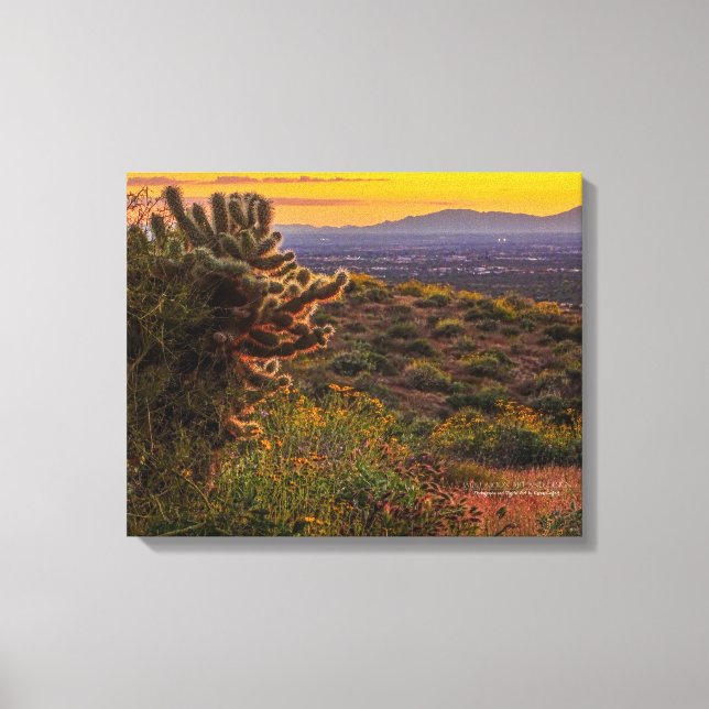 Cholla Cactus Desert Blume Arizona Sonnenuntergang Leinwanddruck (Vorderseite)