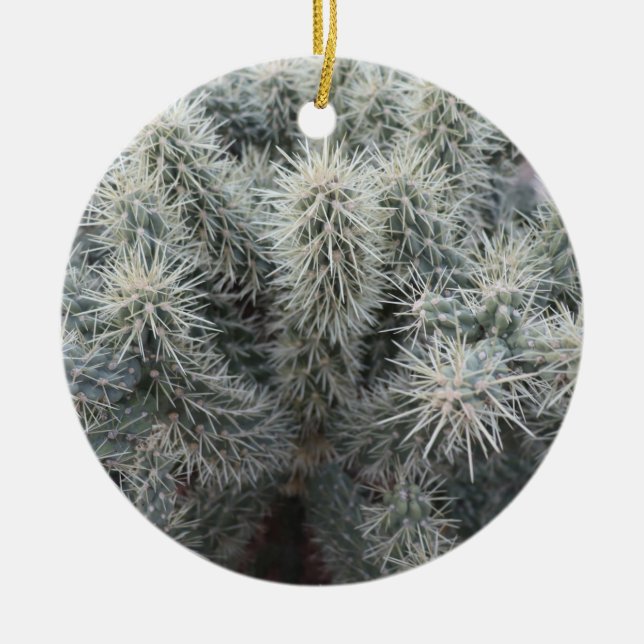 Cholla Cactus in Arizona Keramik Ornament (Vorne)