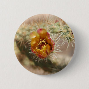 Cholla Kaktus-Blüte Button