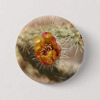 Cholla Kaktus-Blüte Button