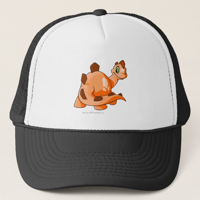 Chomby Orange Truckerkappe (Vorderseite)