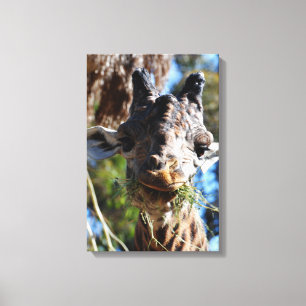 Chompin! Druck auf Keilleinwand Leinwanddruck