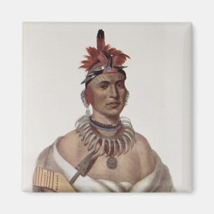 Chon-CA-PET oder "großes Kansas", ein Oto Leiter Magnet