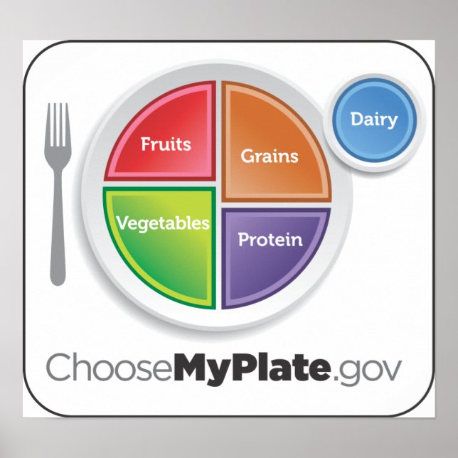 ChooseMyPlate Poster (Vorne)