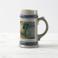 Ours blanc Stein
