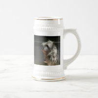 terrier de cairn