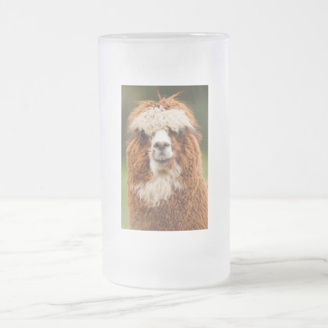 Chope Givrée Alpaca (Centre)