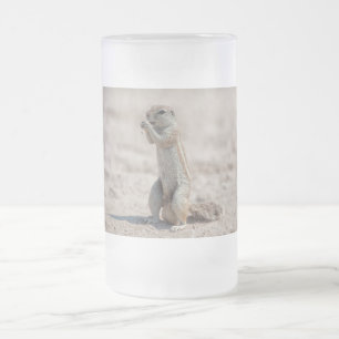 Chope Givrée Cuisine sqirrel